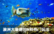 ���޴󱤽���N�������淨