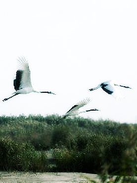 周末游周刊第23期:上海周边三日游(周末谏言系