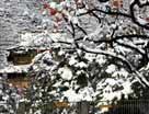 北京十三陵初雪