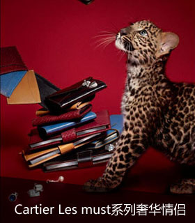 Cartier,��Ʒ,��۹���,ʱ��,����