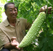 太空蔬菜育种称得上是中国推广最好的太空技术