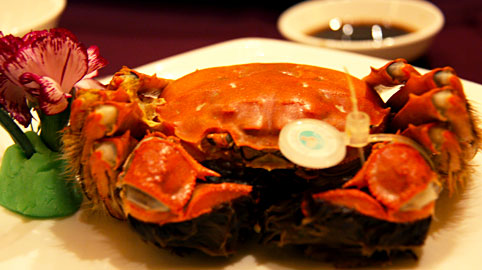 螃蟹派的酒店盛宴