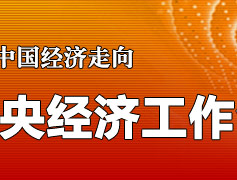 2010年中央经济工作会议-搜狐财经