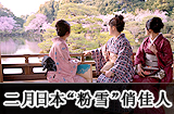 日本旅游攻略