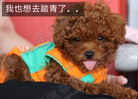 ��̳���»᣺������˶ཿ ���첻̤�໹��ʲô