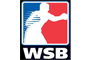 WSB����ȭ���������ܾ�������