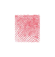 右手食指纹看你的爱情运