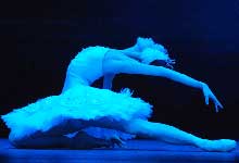 ���Ҵ��Ժ�赸gala