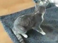 è�������·���������� ζ���������ǡ�������
