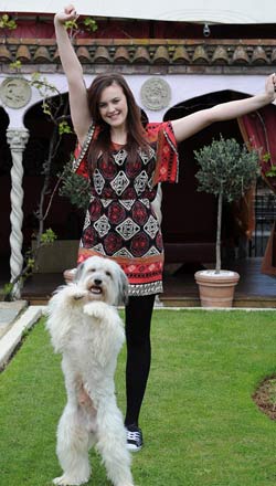 Ӣ�������������