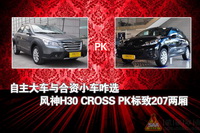 H30CROSS ����207