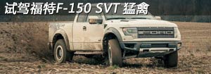 �Լݸ���F-150