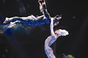 MJ���ഫ������Ѳ��