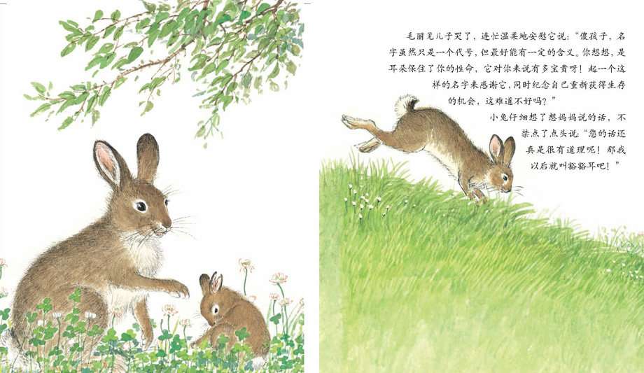 《西顿动物记》