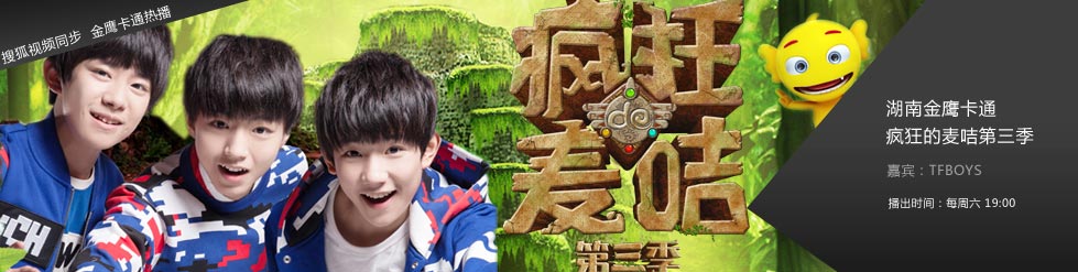 疯狂的麦咭第三季