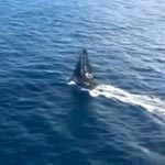 ���򷫴���������������