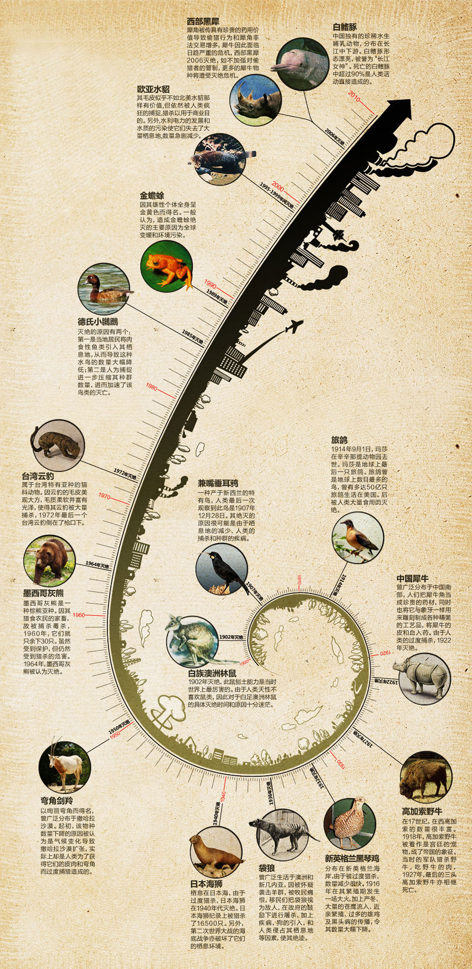 物种灭绝时间表图片