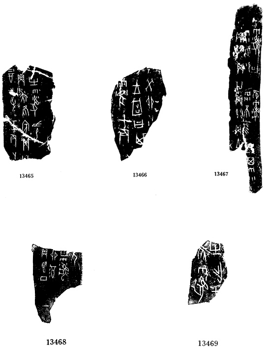 甲骨文合集 来自搜狐网